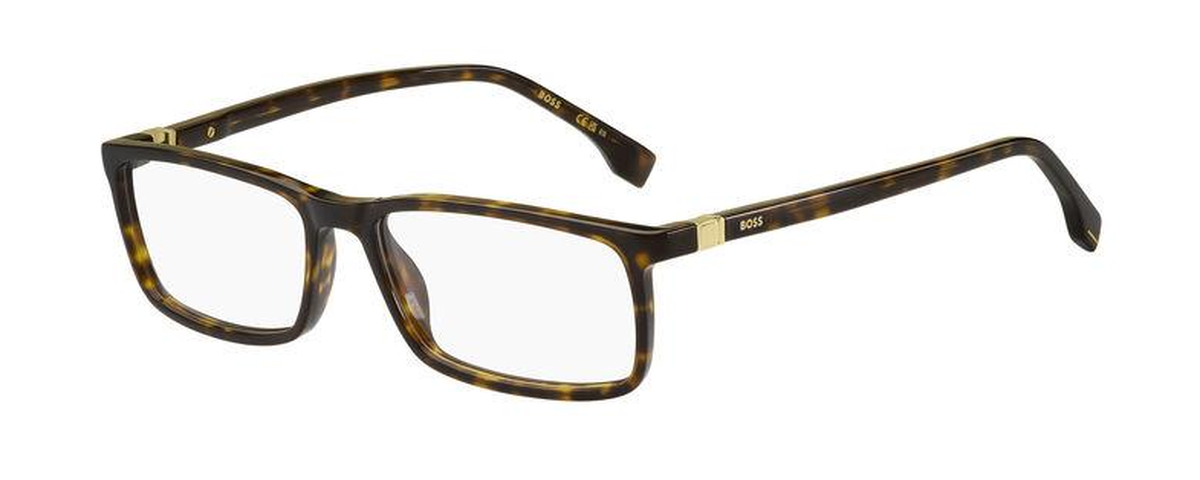 BOSS1493 Hugo Boss Glasses