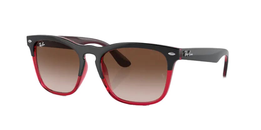 RB4487 RayBan Sunglasses