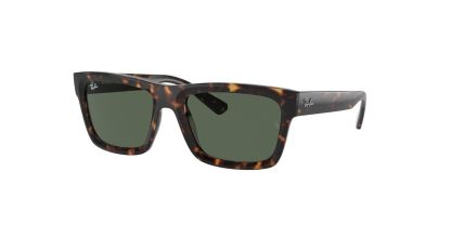 RB 4396 Ray-Ban Sunglasses