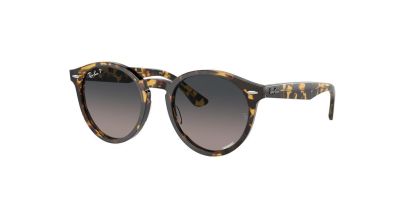 RB 7680S Ray-Ban Sunglasses