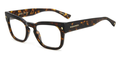 D20129 Dsquared2 Glasses