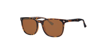 VS206 Prescription Sunglasses