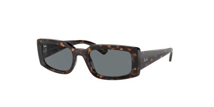 RB 4395 Ray-Ban Sunglasses