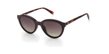 P.C.8494/CS Pierre Cardin Sunglasses