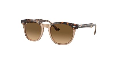 RB 2298 Ray-Ban Sunglasses