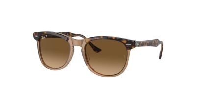 RB 2398 Ray-Ban Sunglasses