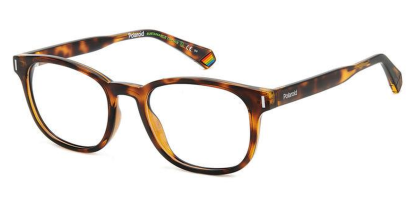 PLD D453 Polaroid Glasses