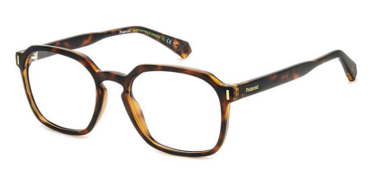 PLD D482 Polaroid Glasses