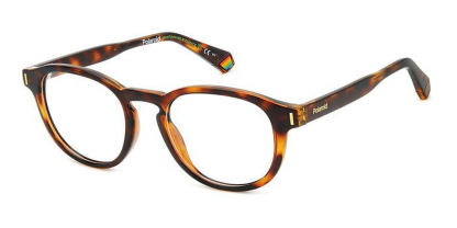 PLD D452 Polaroid Glasses